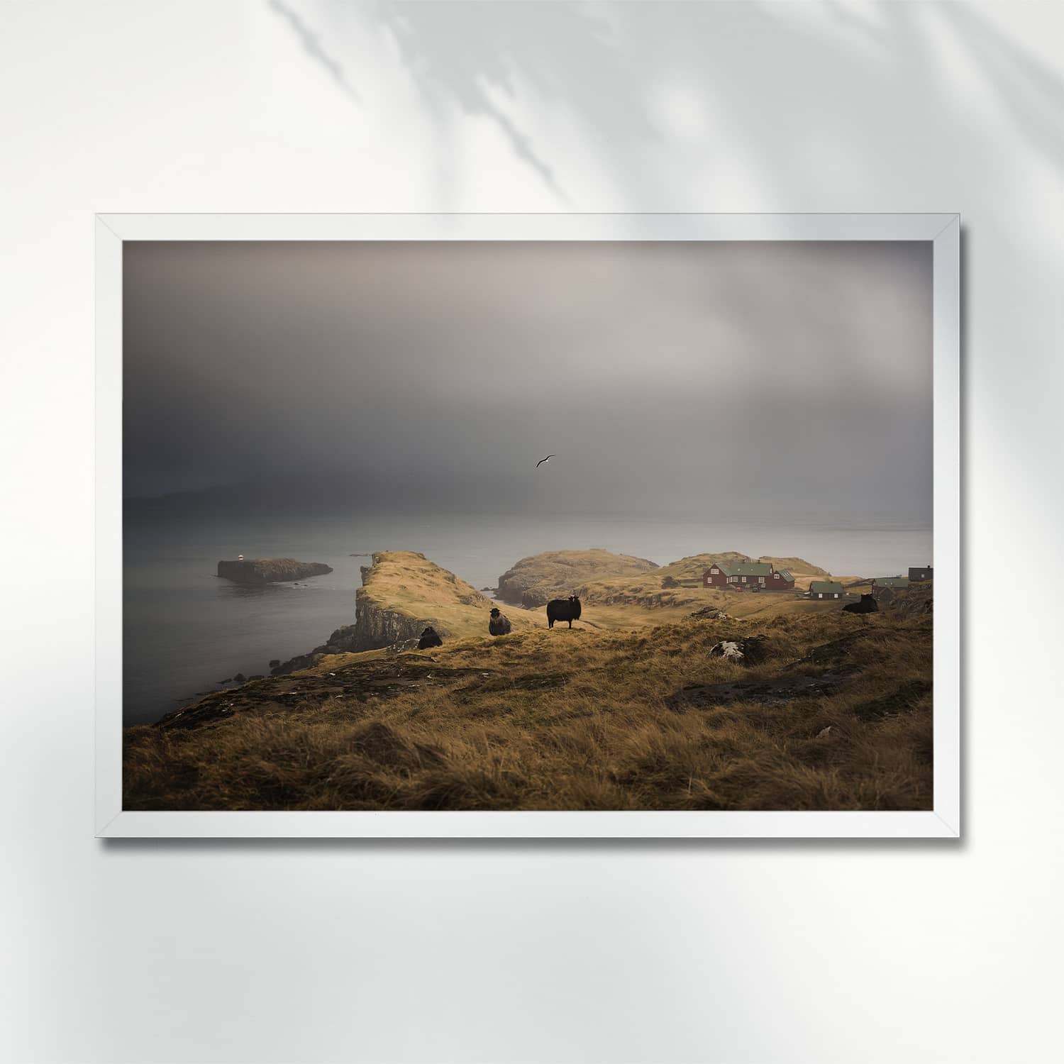 SHEEP IN A MOODY ATMOSPHERE IN HOYVÍK, FAROE ISLANDS - POSTER hoyvik coast lighthouse poster frame 0073